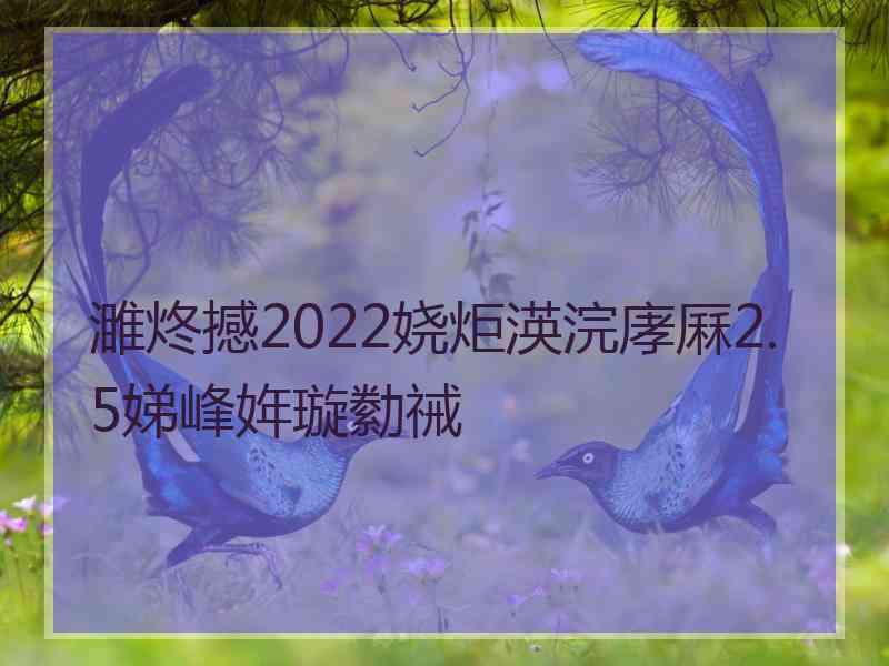 濉炵撼2022娆炬渶浣庨厤2.5娣峰姩璇勬祴