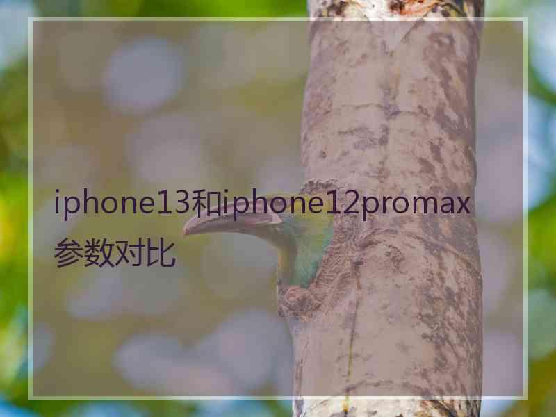 iphone13和iphone12promax参数对比