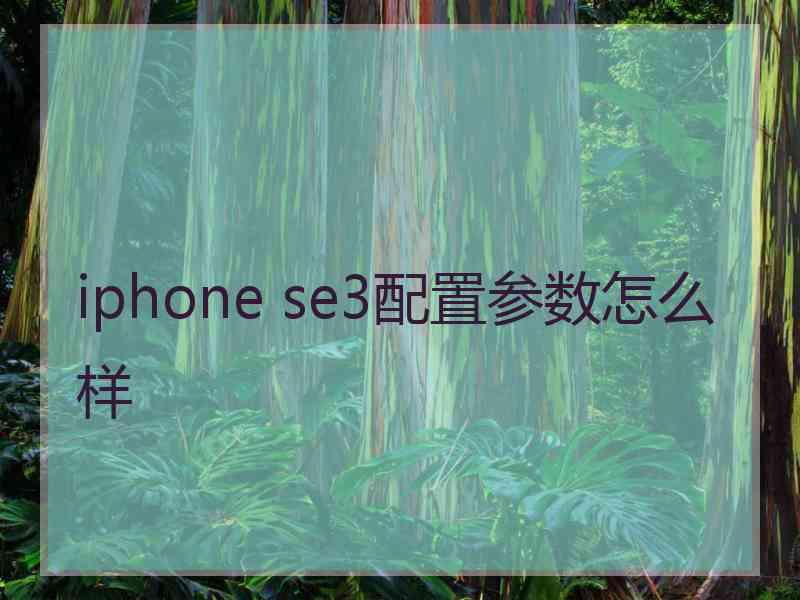 iphone se3配置参数怎么样