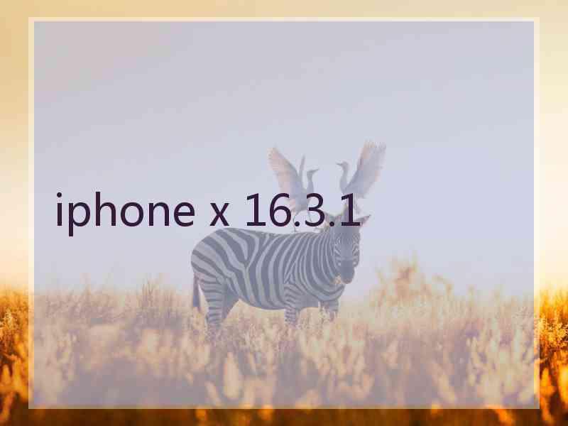 iphone x 16.3.1