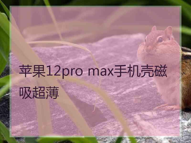 苹果12pro max手机壳磁吸超薄