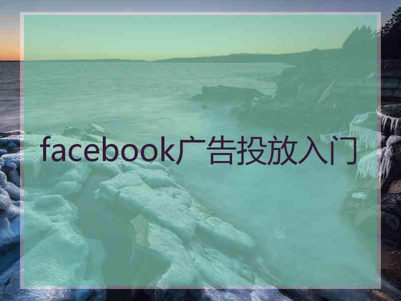 facebook广告投放入门