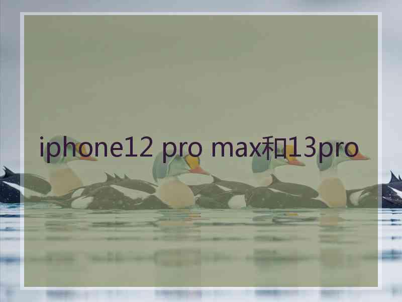 iphone12 pro max和13pro