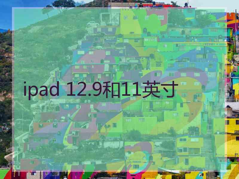 ipad 12.9和11英寸