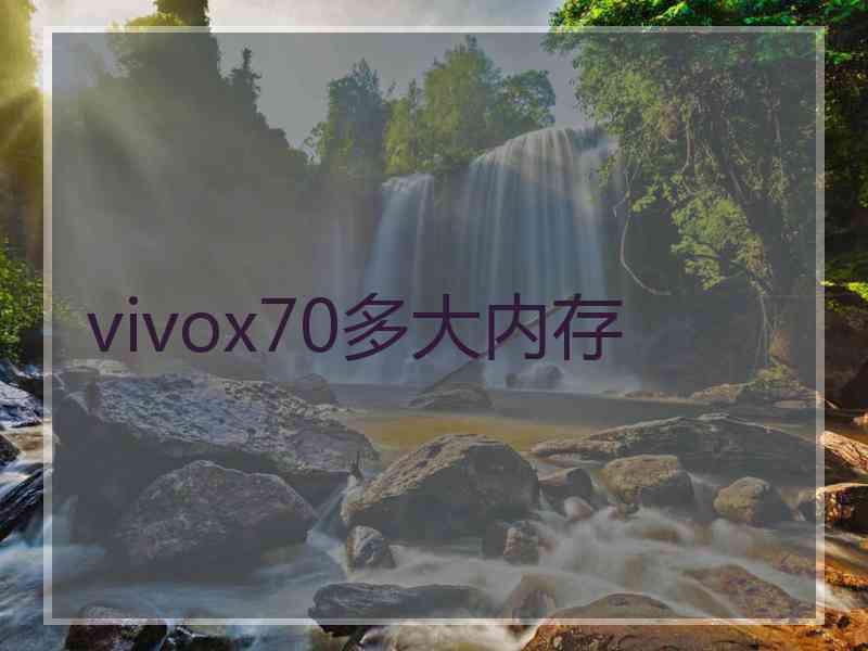 vivox70多大内存