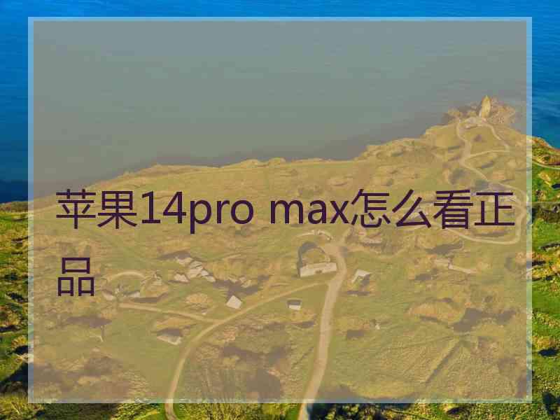 苹果14pro max怎么看正品