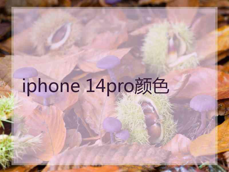 iphone 14pro颜色