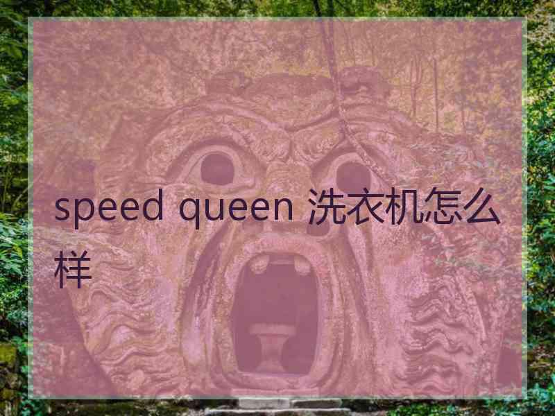 speed queen 洗衣机怎么样