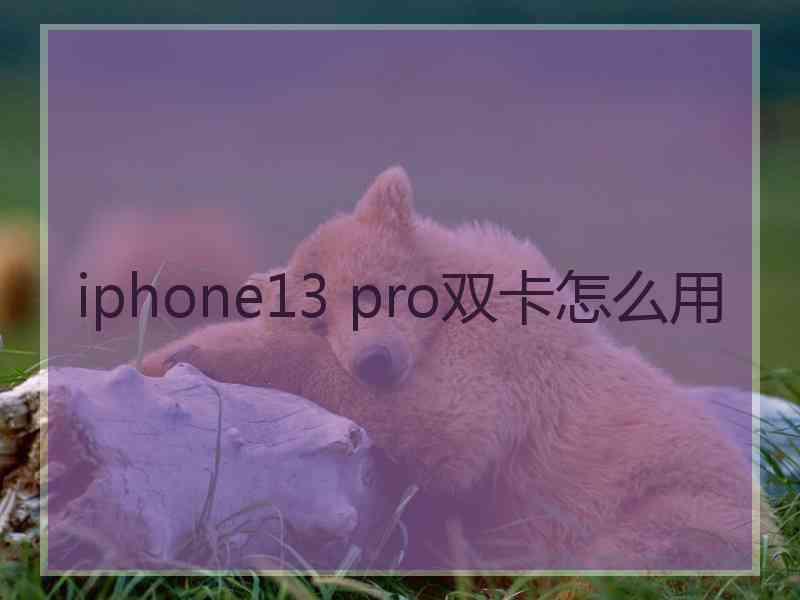 iphone13 pro双卡怎么用