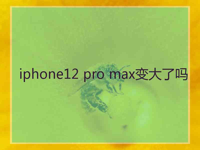 iphone12 pro max变大了吗