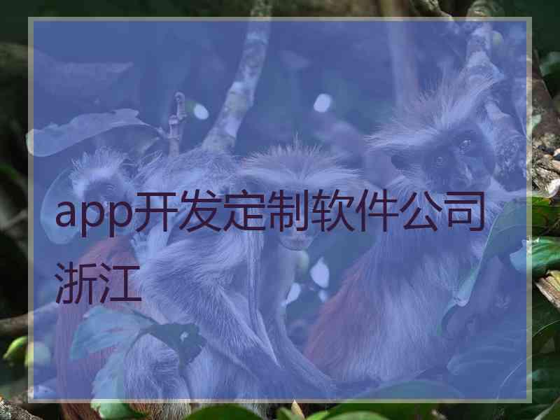 app开发定制软件公司浙江