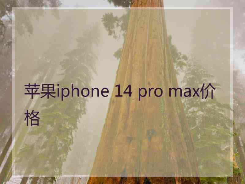 苹果iphone 14 pro max价格