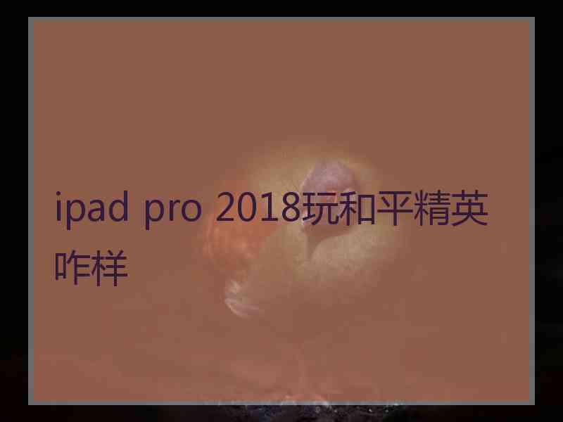 ipad pro 2018玩和平精英咋样