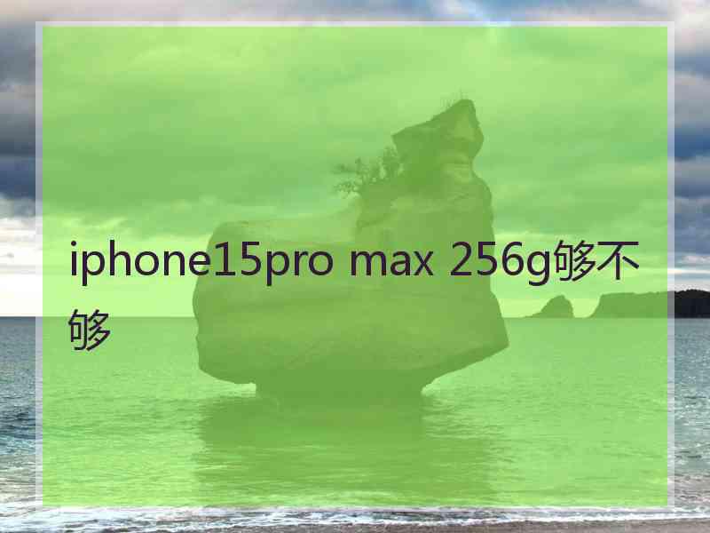 iphone15pro max 256g够不够