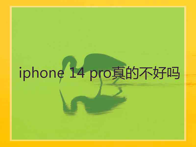 iphone 14 pro真的不好吗