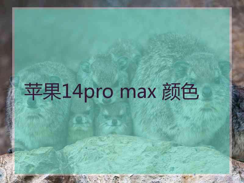 苹果14pro max 颜色