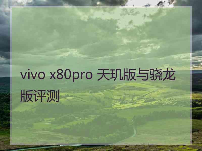 vivo x80pro 天玑版与骁龙版评测