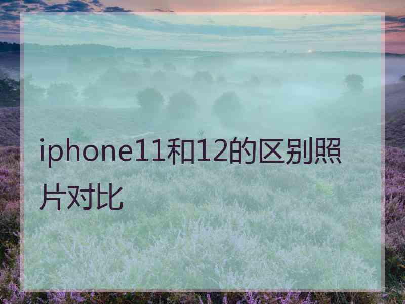 iphone11和12的区别照片对比