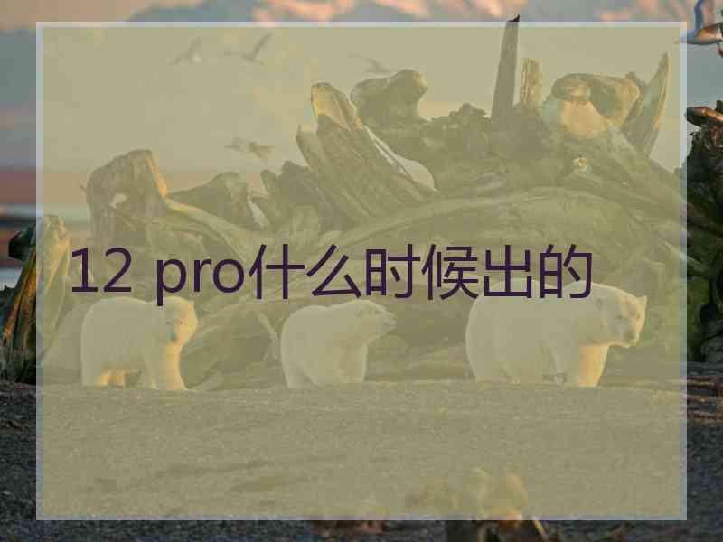 12 pro什么时候出的