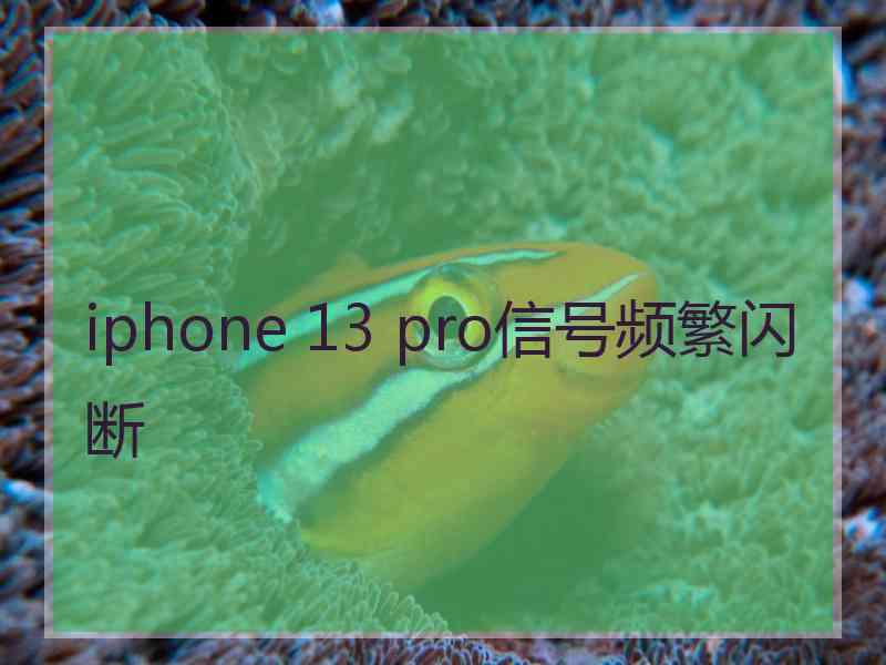 iphone 13 pro信号频繁闪断