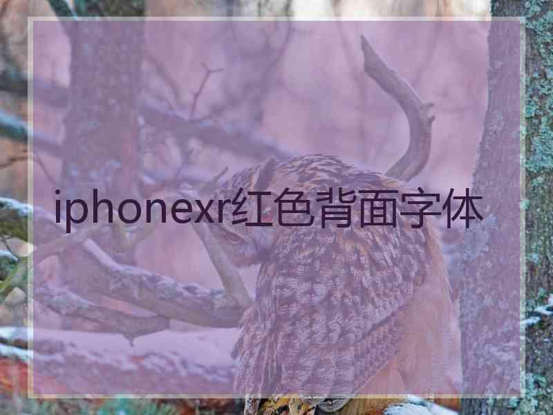 iphonexr红色背面字体