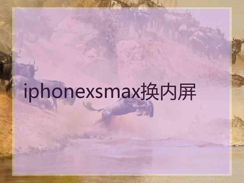 iphonexsmax换内屏