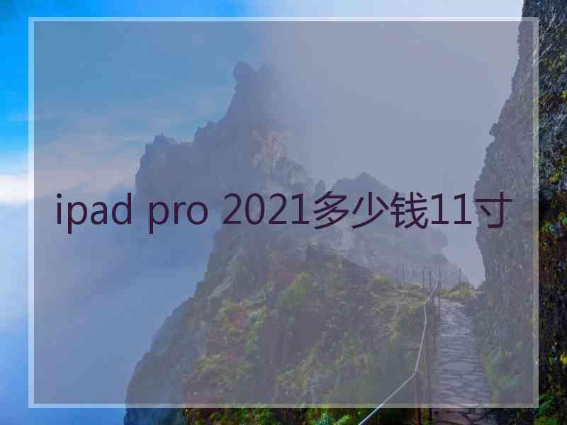 ipad pro 2021多少钱11寸