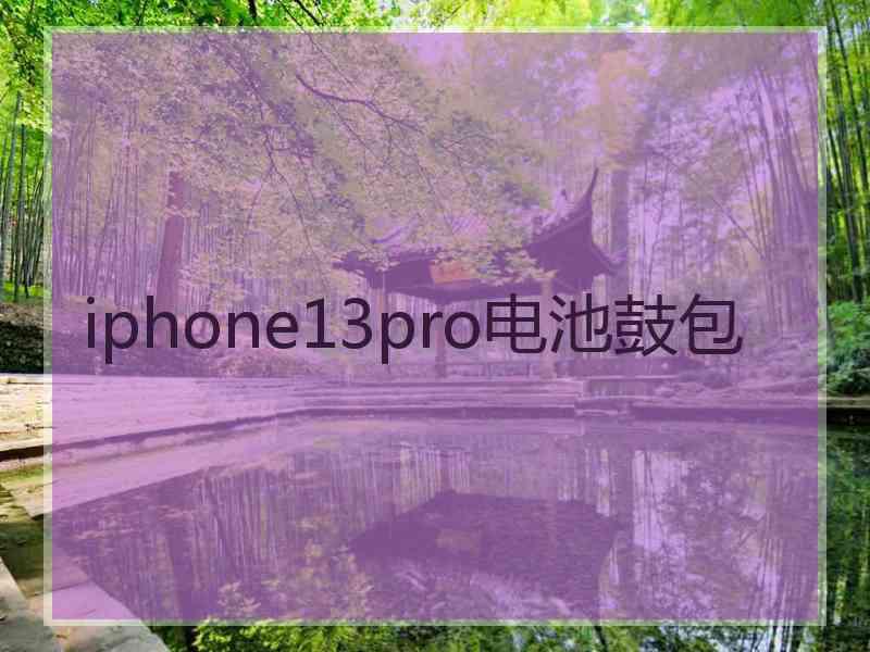 iphone13pro电池鼓包