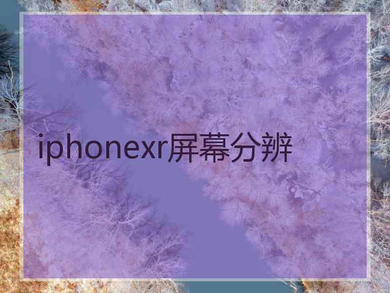 iphonexr屏幕分辨