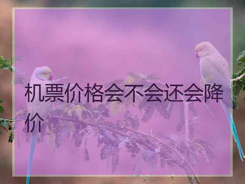 机票价格会不会还会降价