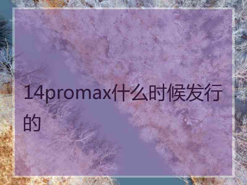 14promax什么时候发行的