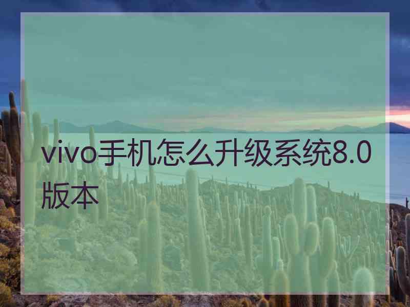 vivo手机怎么升级系统8.0版本