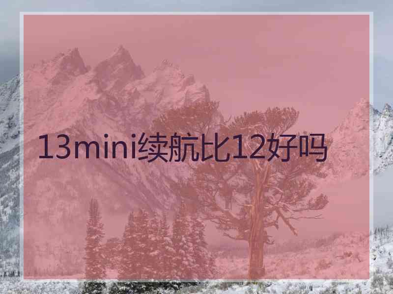 13mini续航比12好吗