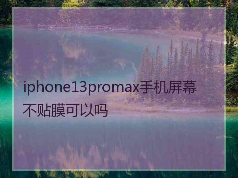 iphone13promax手机屏幕不贴膜可以吗