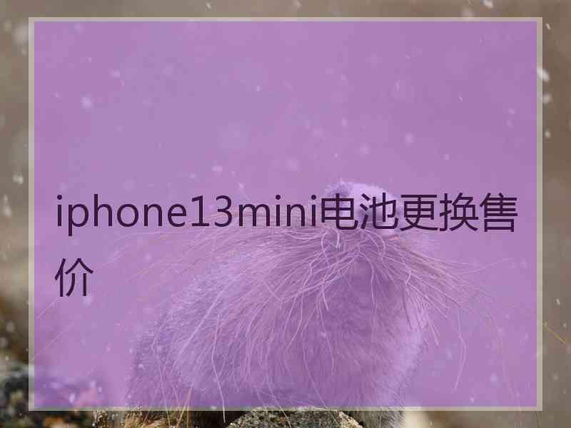 iphone13mini电池更换售价