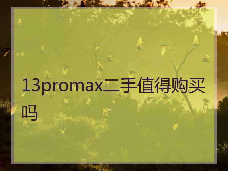 13promax二手值得购买吗