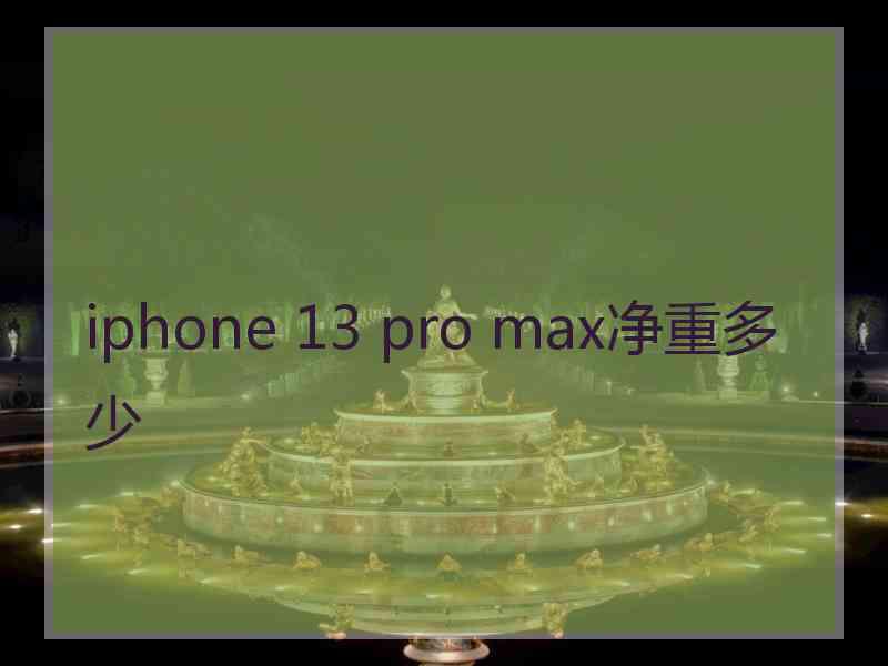 iphone 13 pro max净重多少