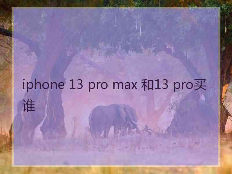 iphone 13 pro max 和13 pro买谁