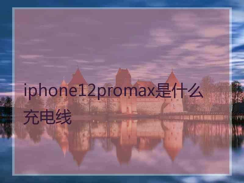 iphone12promax是什么充电线