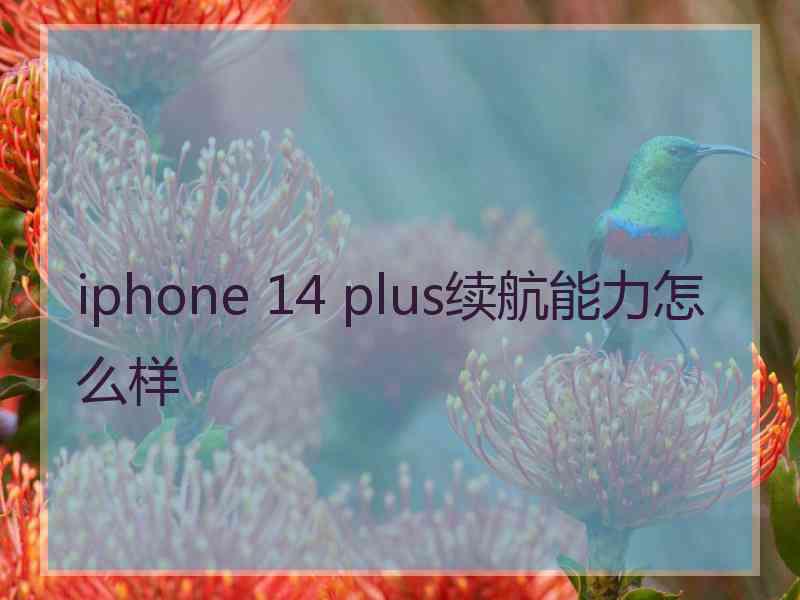 iphone 14 plus续航能力怎么样