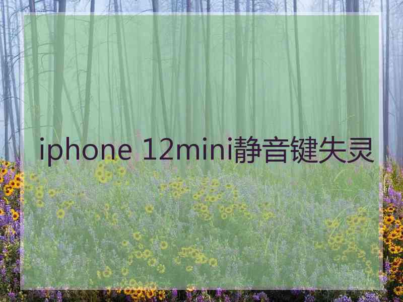 iphone 12mini静音键失灵