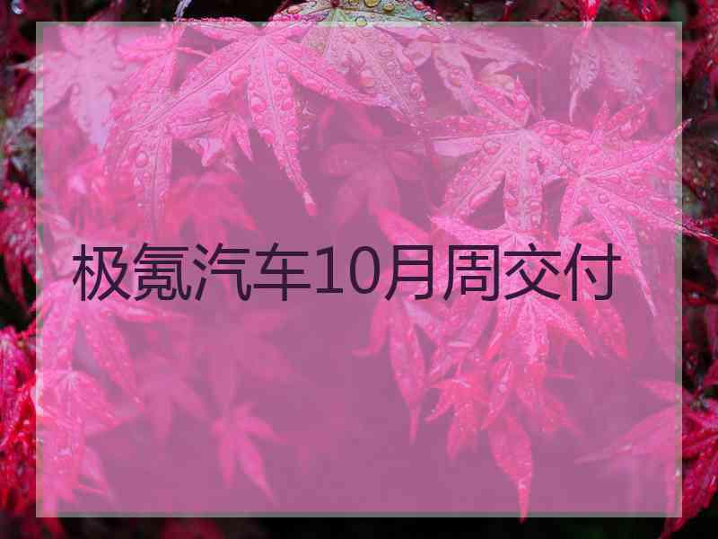 极氪汽车10月周交付