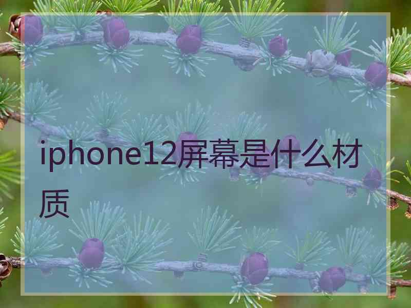 iphone12屏幕是什么材质