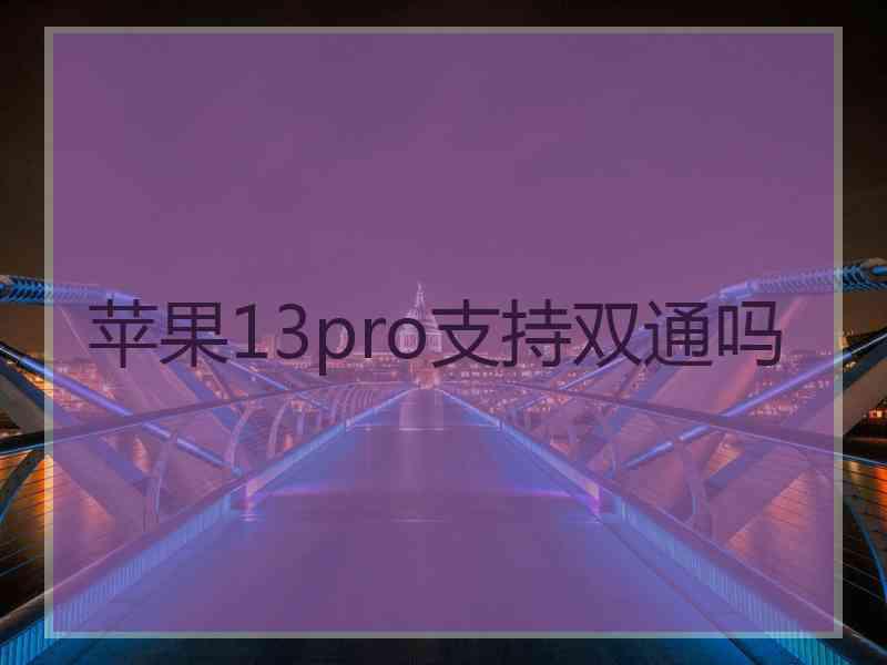 苹果13pro支持双通吗