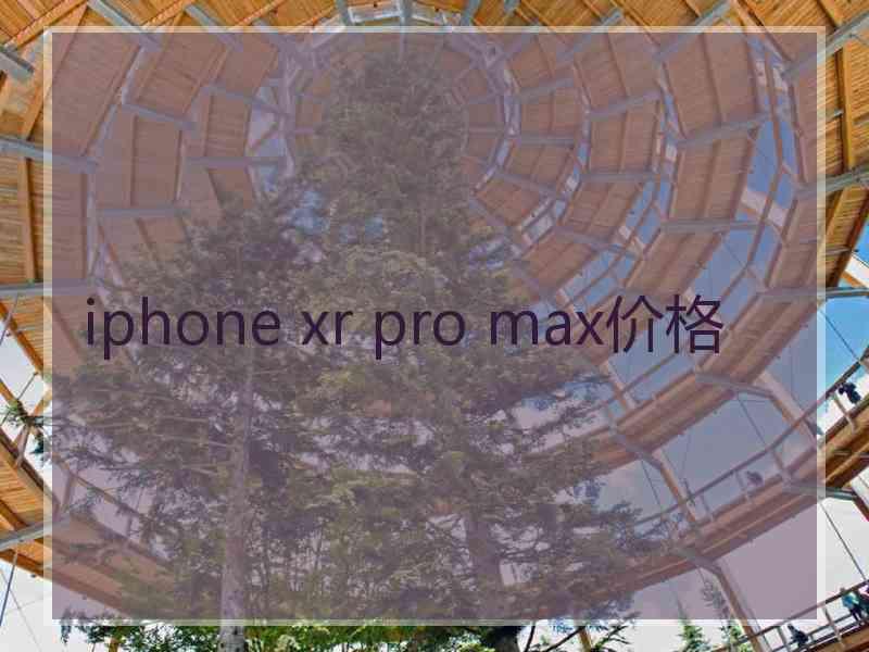 iphone xr pro max价格