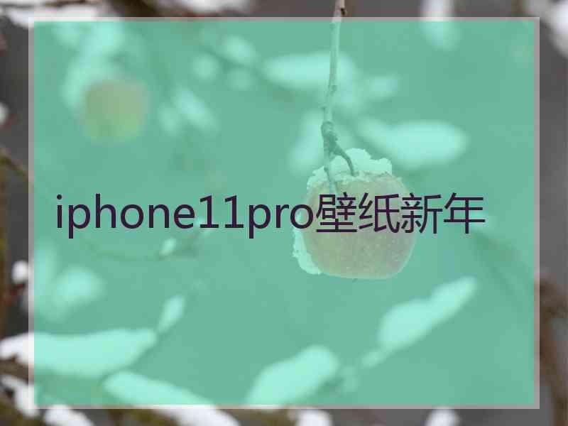 iphone11pro壁纸新年