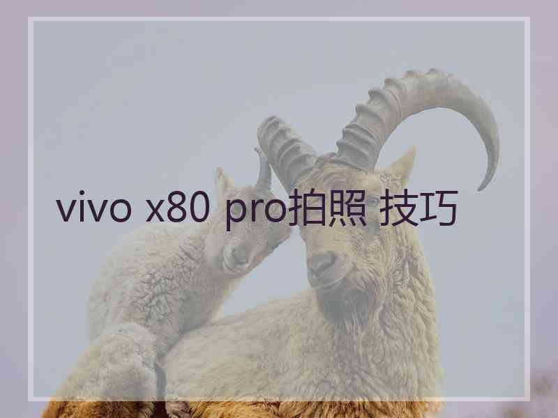 vivo x80 pro拍照 技巧