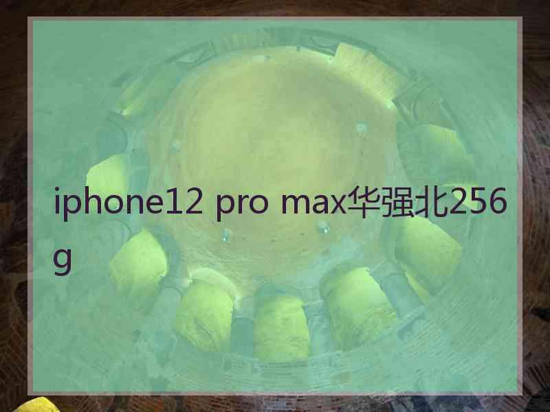 iphone12 pro max华强北256g