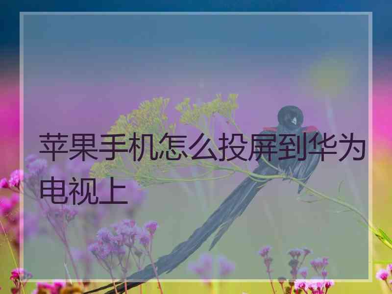 苹果手机怎么投屏到华为电视上