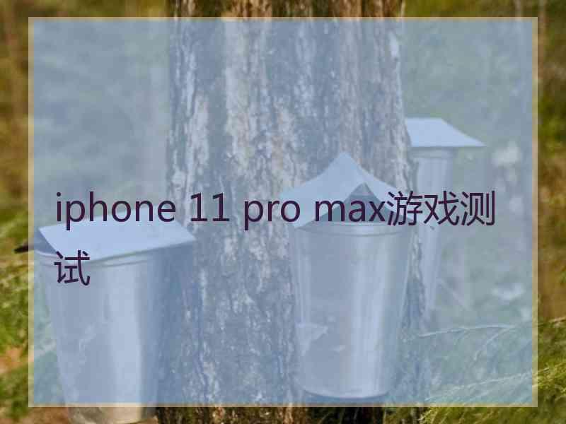 iphone 11 pro max游戏测试